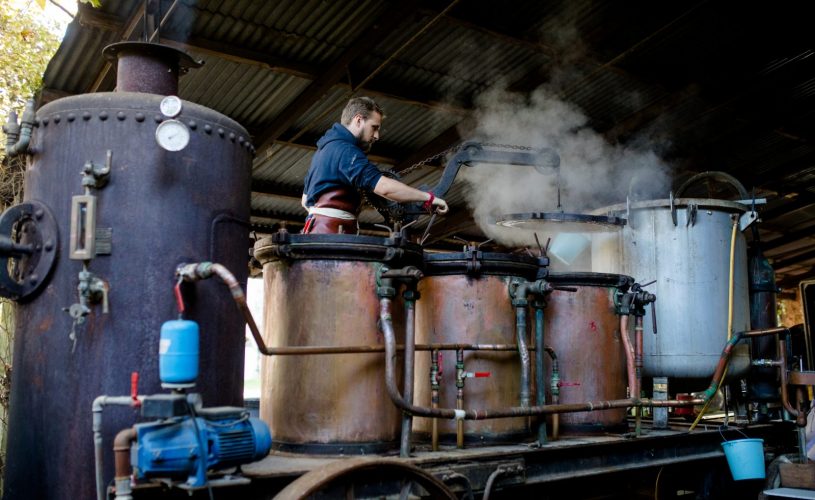 Le rugissant Distillerie Helvia