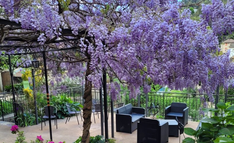 Terrasse coté canal