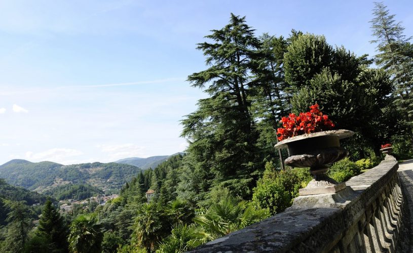 Château Clément, notre parc