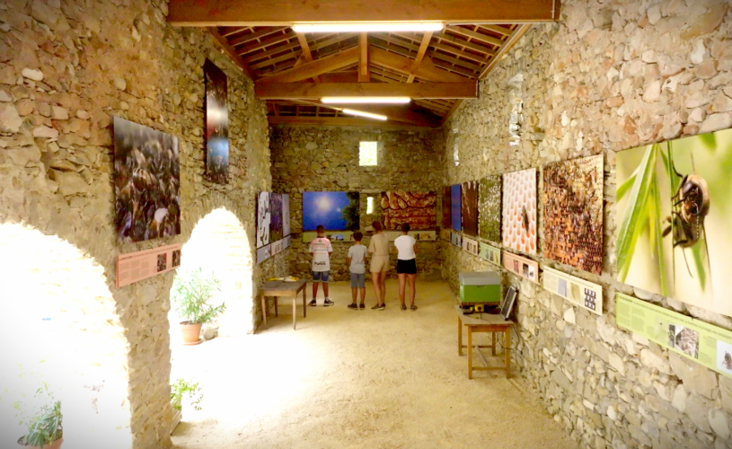 Exposition permanente Le Génie des Abeilles