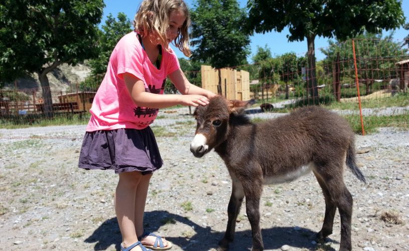 Parc animalier à Lussas