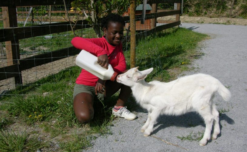 Parc animalier à Lussas