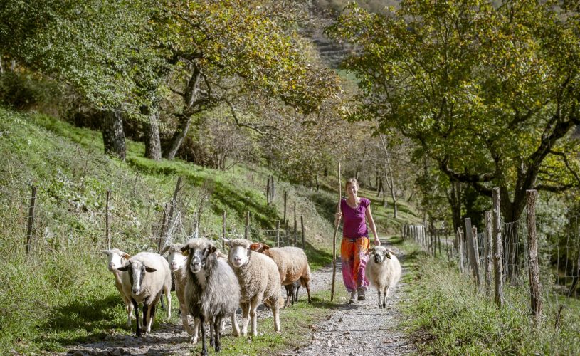 Ardelaine visite guidée